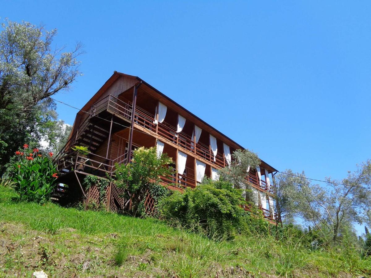 Villa Oliva New Athos Exteriör bild