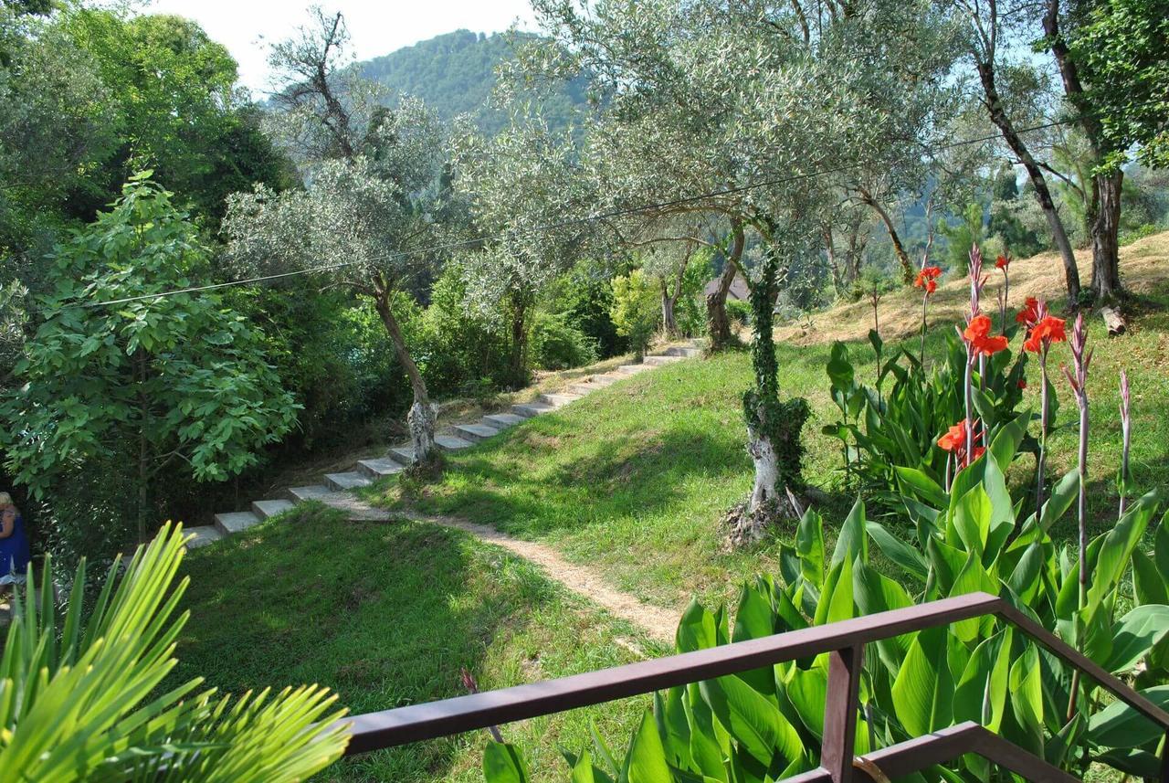 Villa Oliva New Athos Exteriör bild